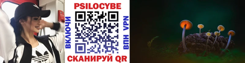 Псилоцибиновые грибы Psilocybine cubensis  купить наркотики сайты  Пестово 