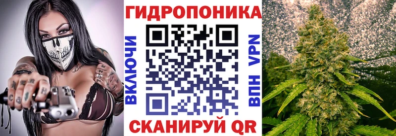 Бошки Шишки Ganja  Пестово 